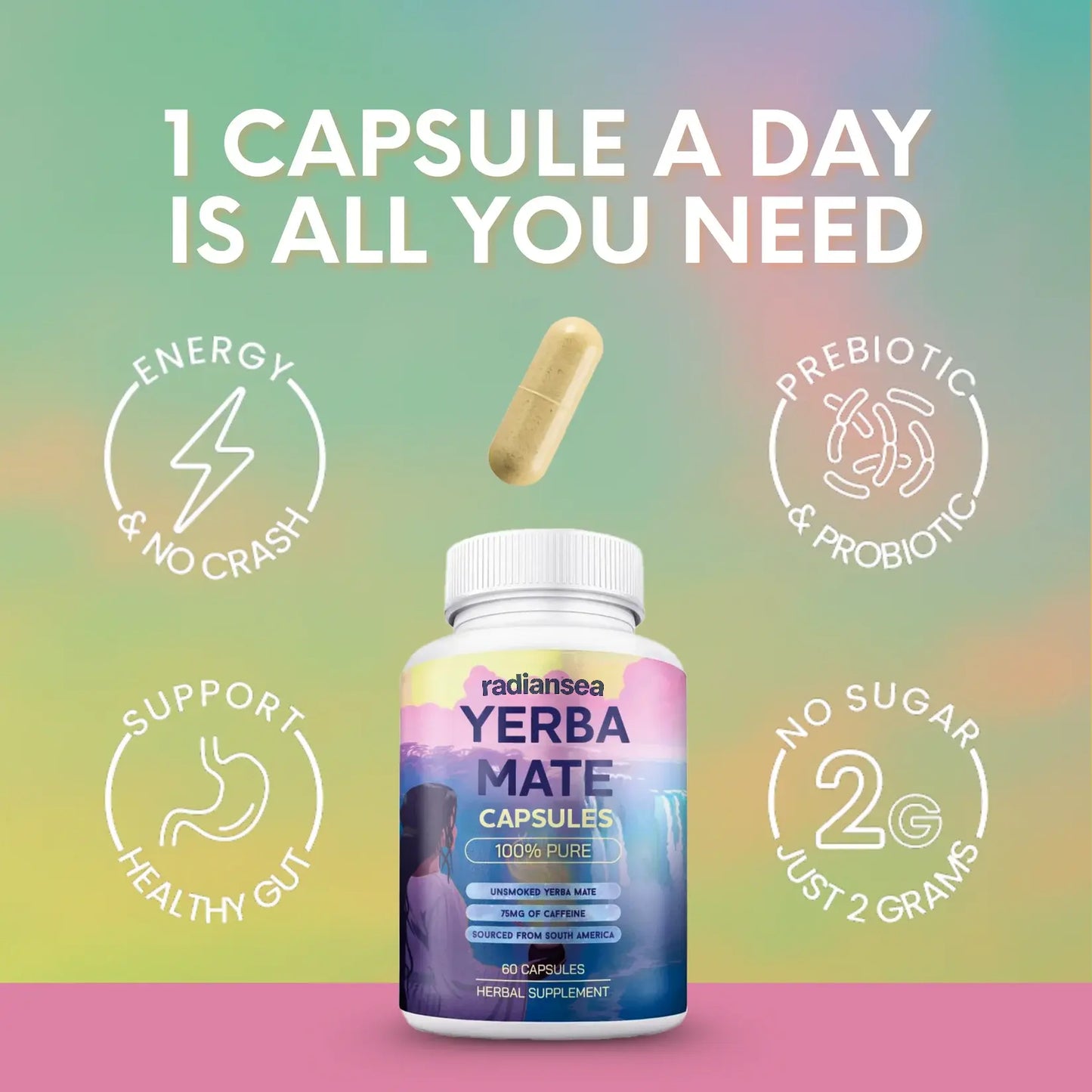 Yerba Burn + Focus™ Capsules