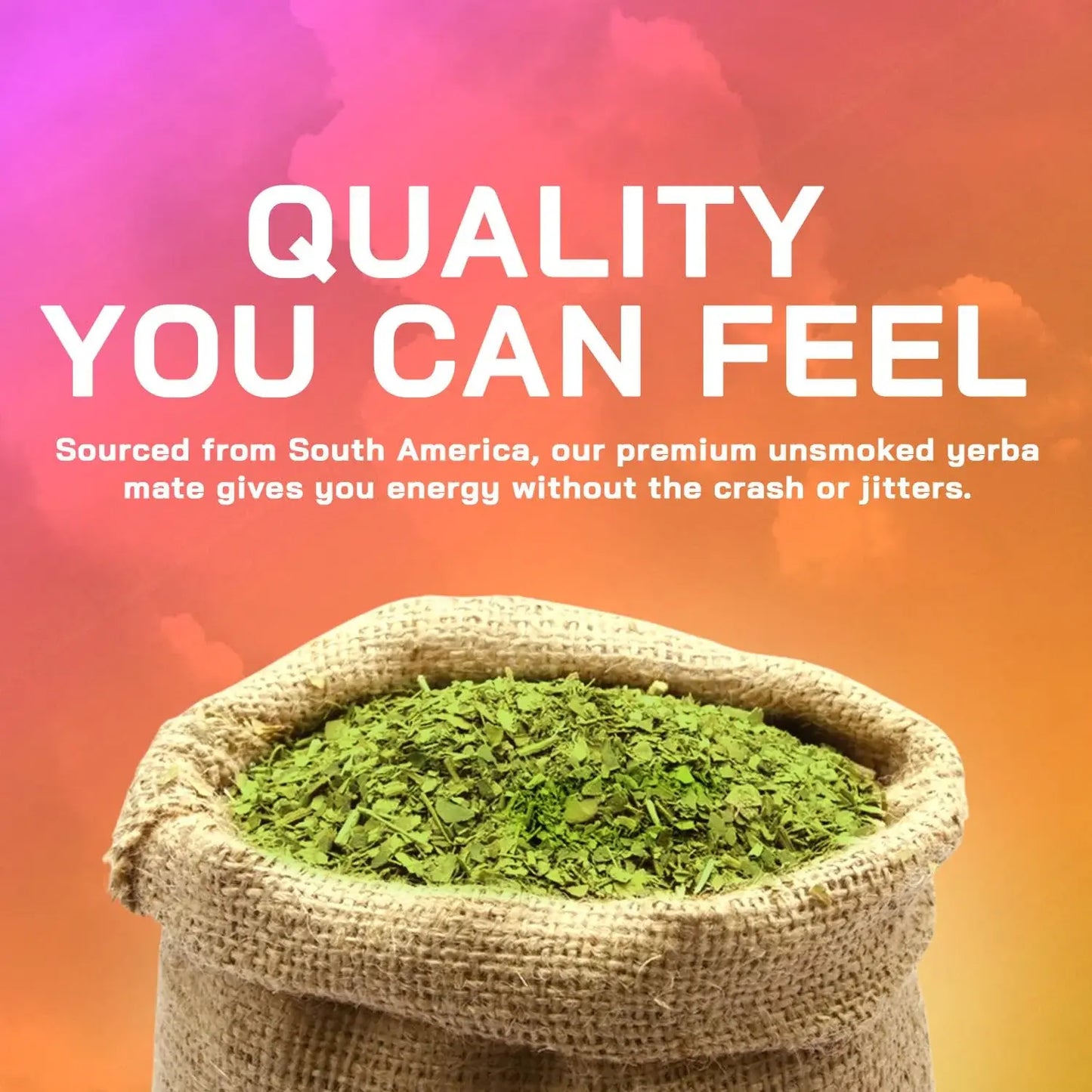 Yerba Burn + Focus™ Capsules